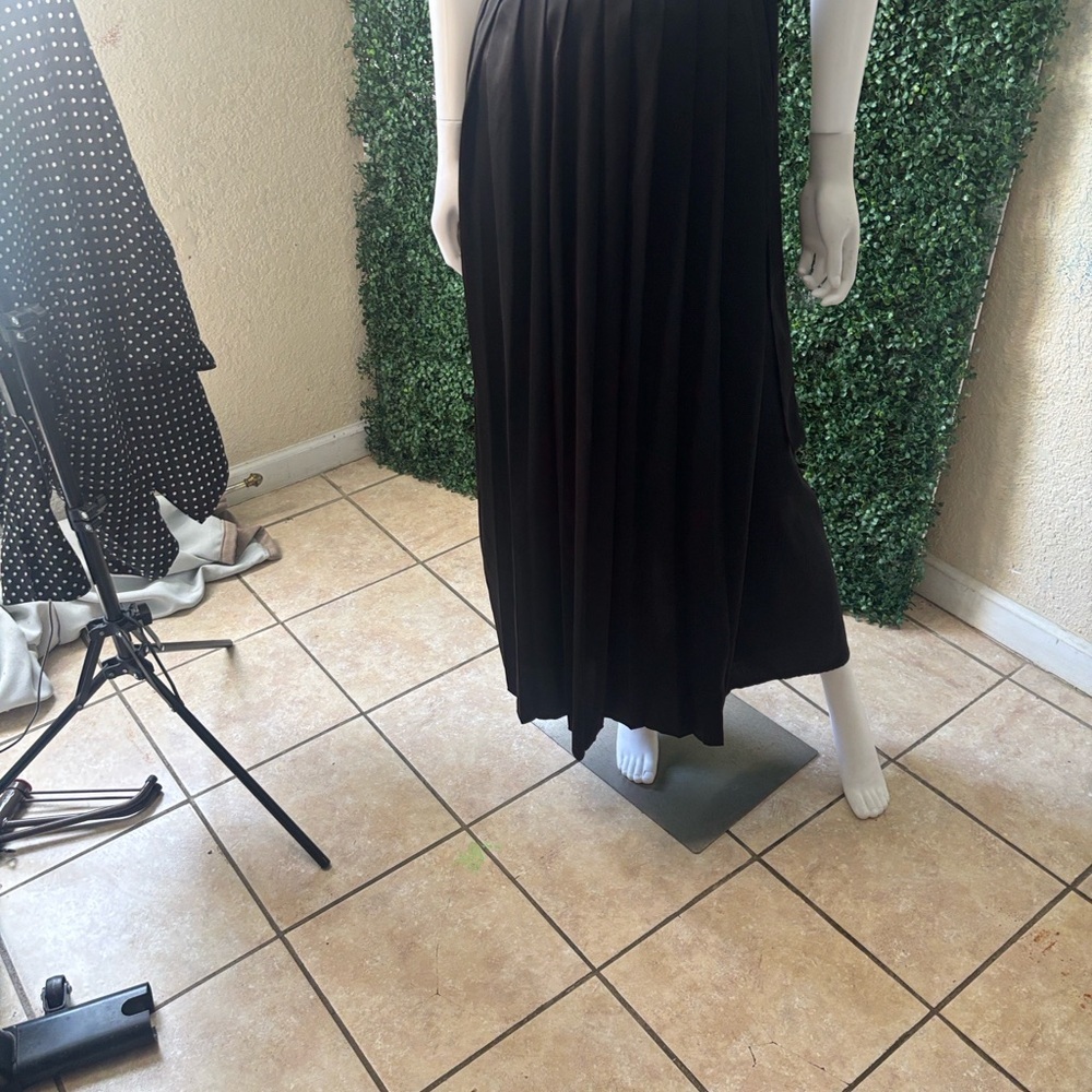 Alice Blue Black Maxi Pleated Skirt # 59 - Picture 14 of 16
